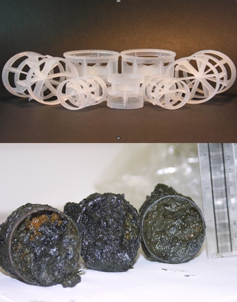 An image of packing material - Pall Rings &ndash; in clean state and also with biofouling built-up
