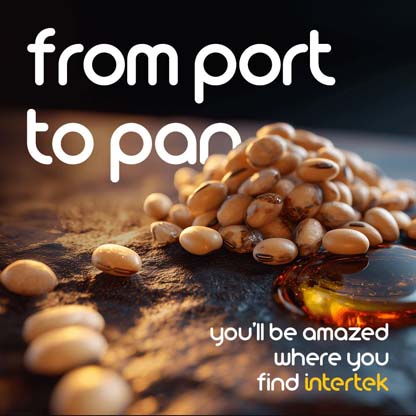 A pile of soybeans sitting next to a puddle of oil