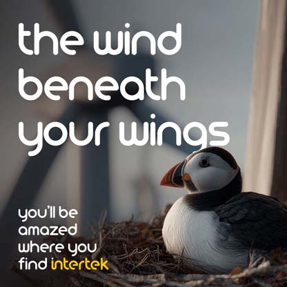 A bird in a nest with wind turbines visible in the background